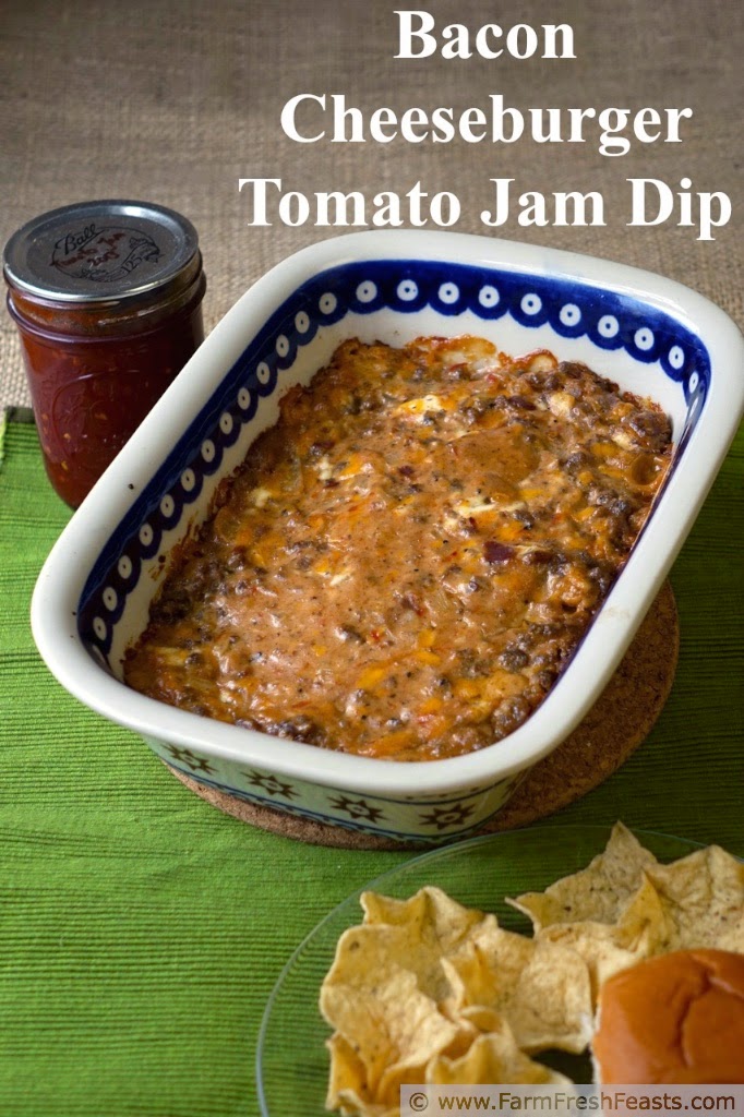 Bacon Cheeseburger Tomato Jam Dip