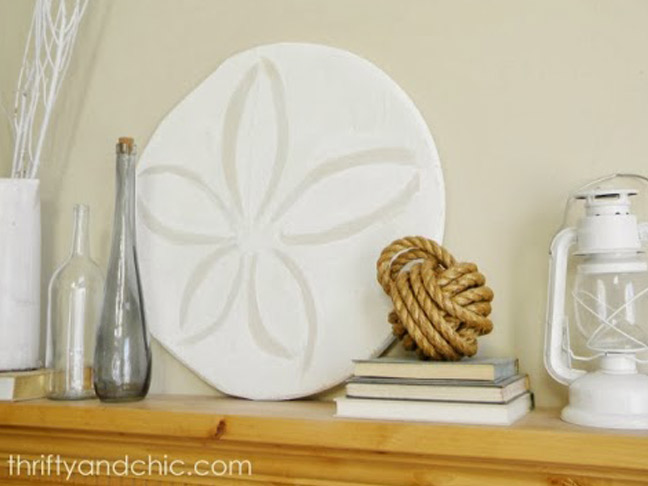 Giant Sand Dollar