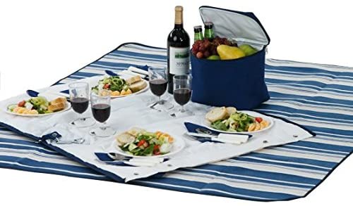 Convertible Picnic Tote