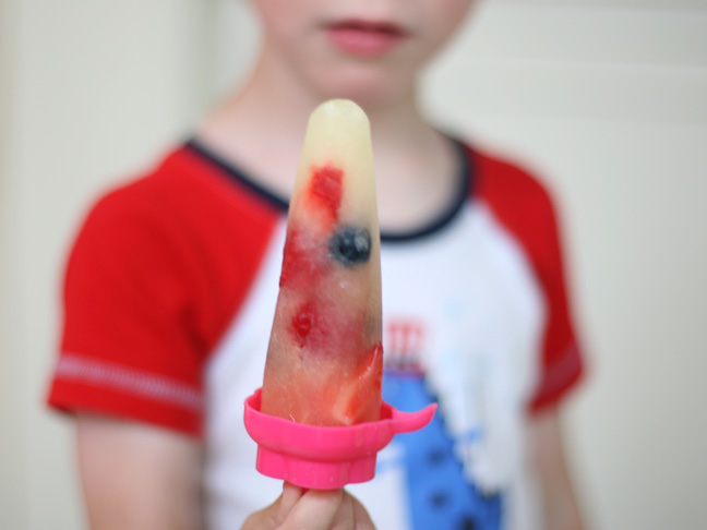 Whole Fruit Popsicles