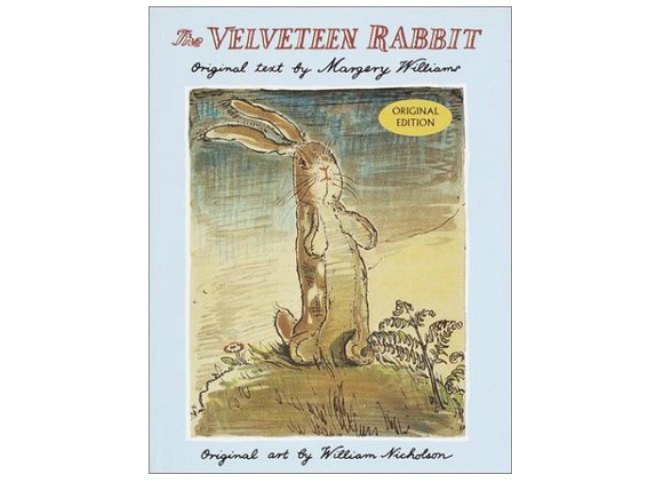 Velveteen Rabbit