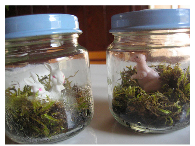 Terrariums