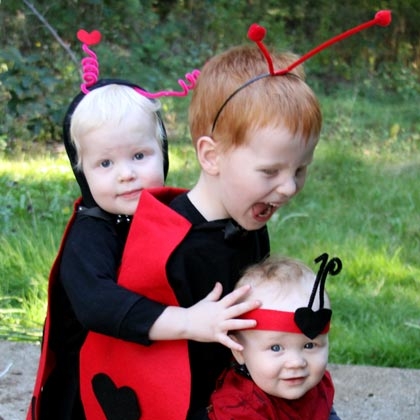 Ladybug Costume