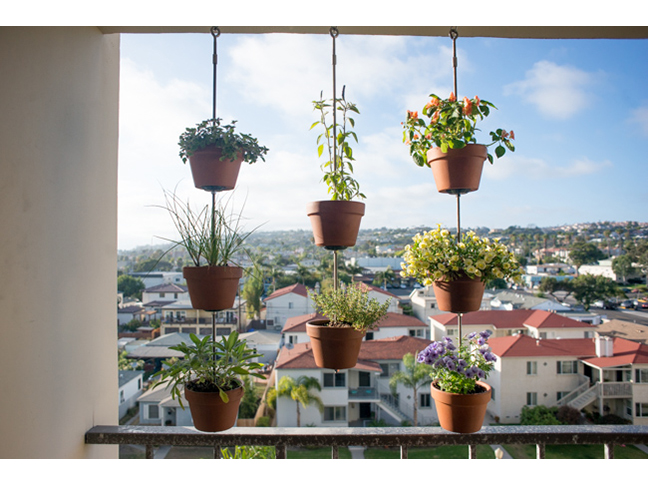 Vertical Terra Cotta Garden