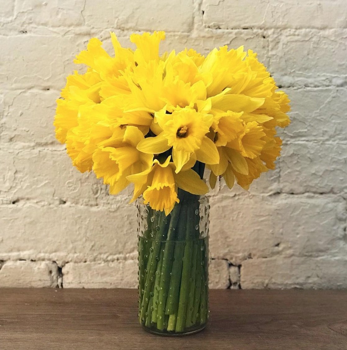 Daffodil Centerpiece