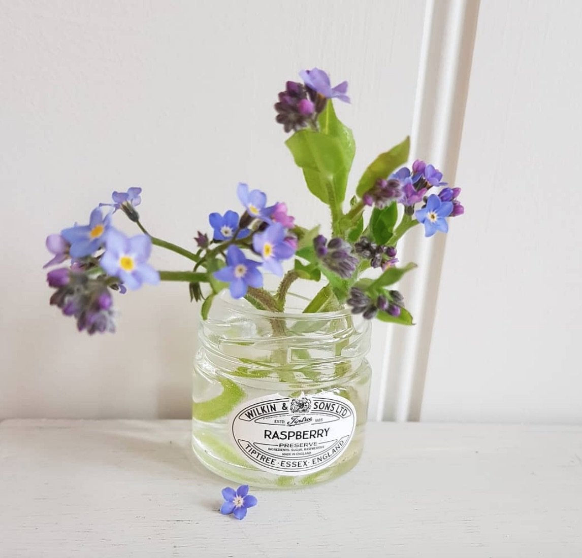 Forget-Me-Nots In A Repurposed Jar