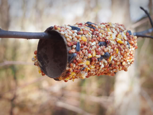 Peanut Butter Bird Feeder