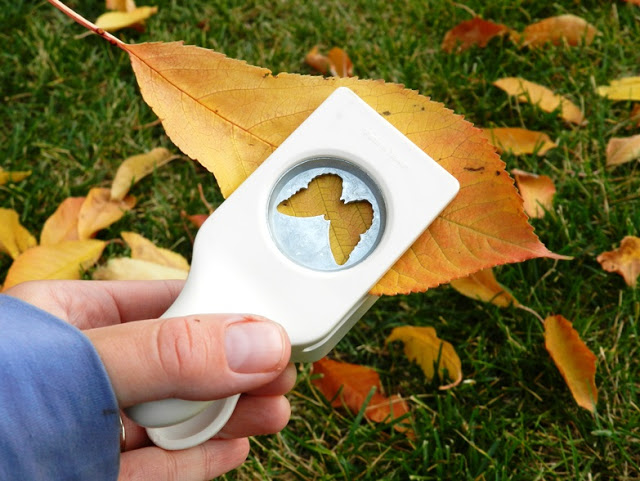 Leaf Confetti