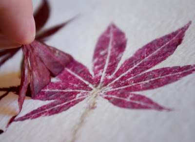 DIY Leaf Prints