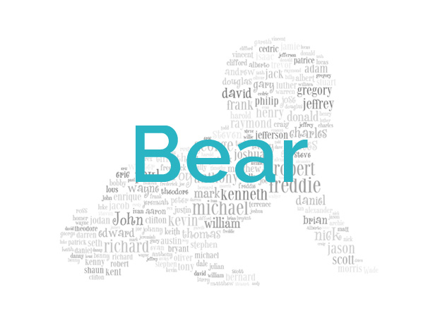 Bear