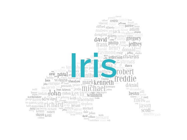 Iris