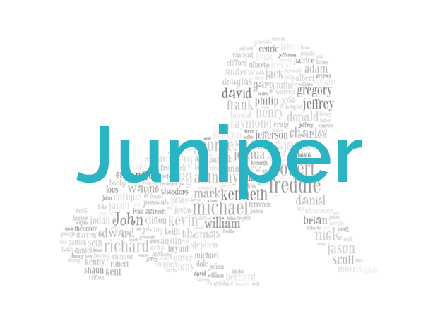 Juniper