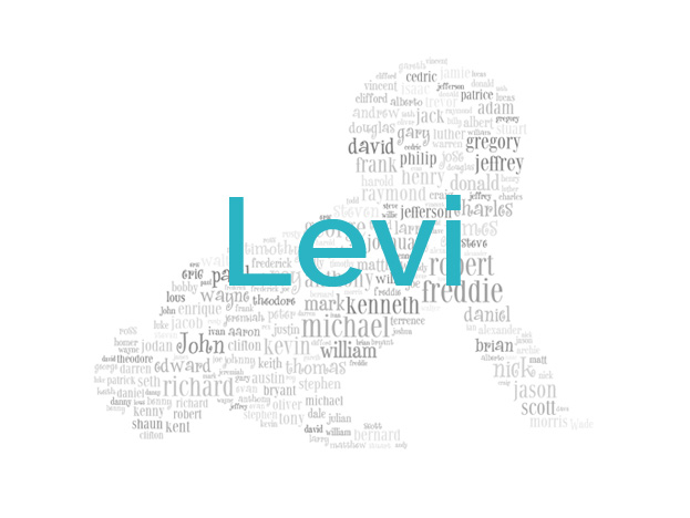 Levi