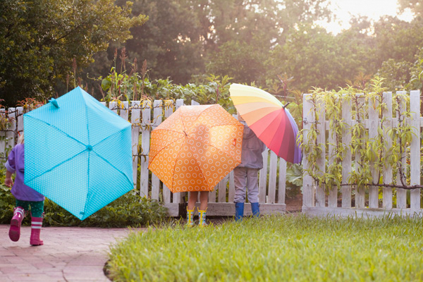 Umbrellas