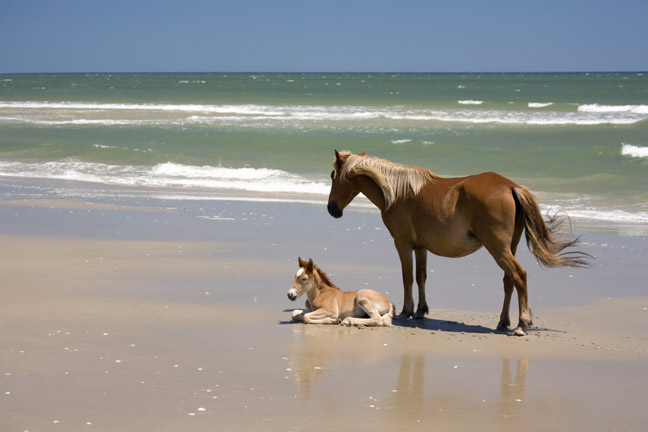 Outer Banks, NC