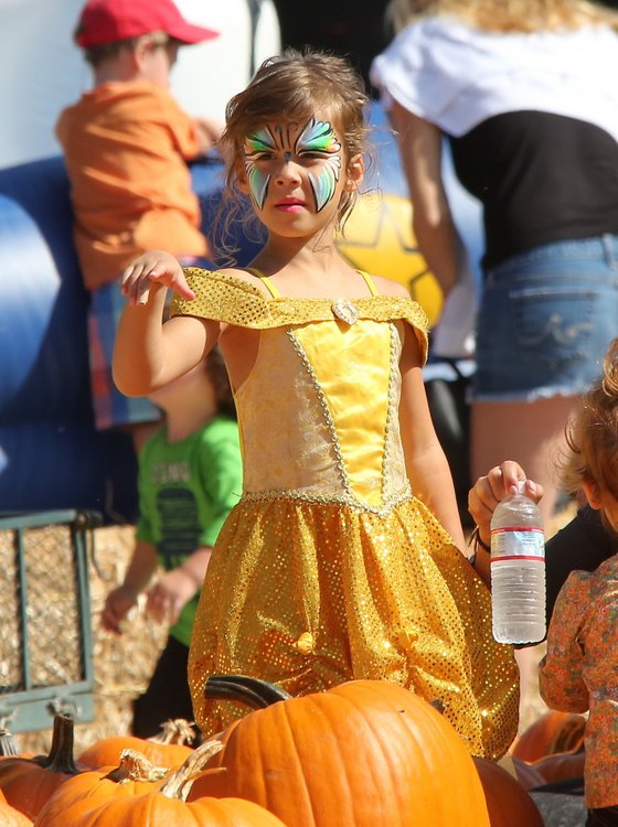  Mr. Bones Pumpkin Patch - Honor Warren