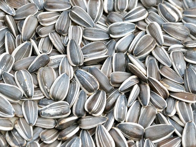 Sunflower Seeds