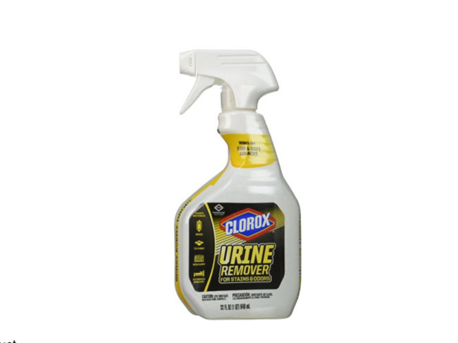 Clorox Urine Remover