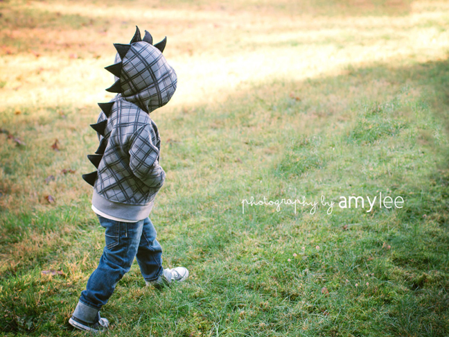 Children's Dinosaur Hoodie