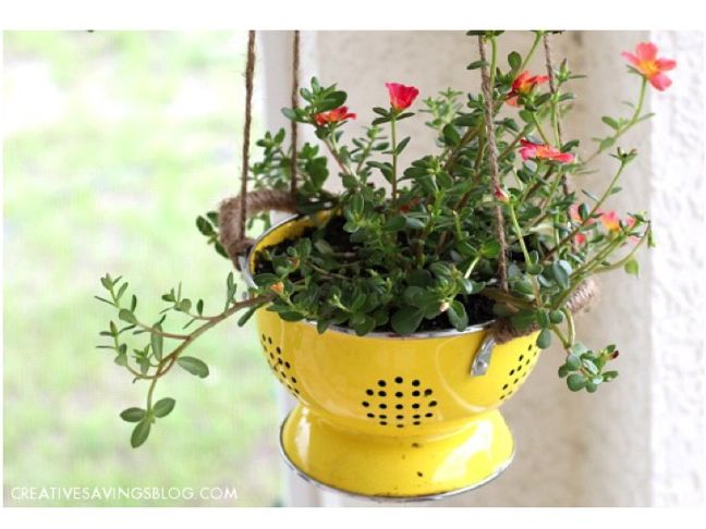 DIY Colander Planter