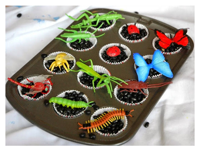 Insect Sensory Bin