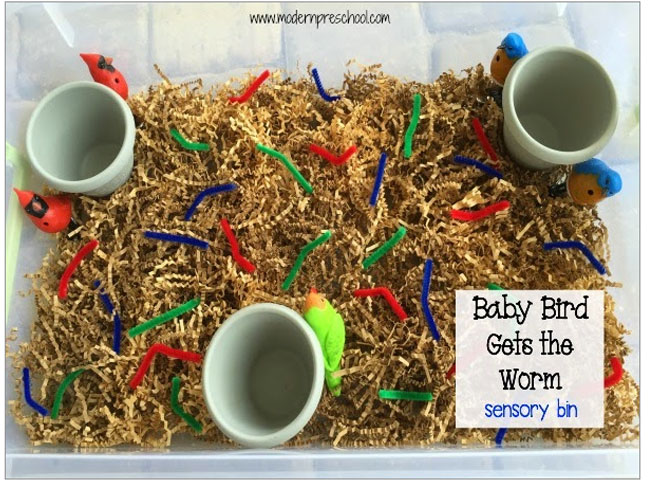 Wiggly Worms & Birds Bin