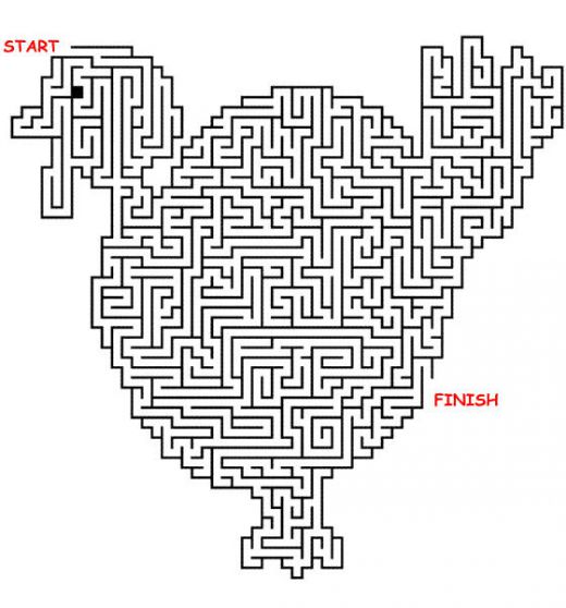 Turkey Maze