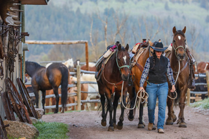 Rainbow Trout Ranch