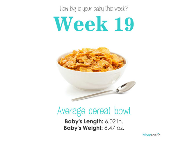 Week 19