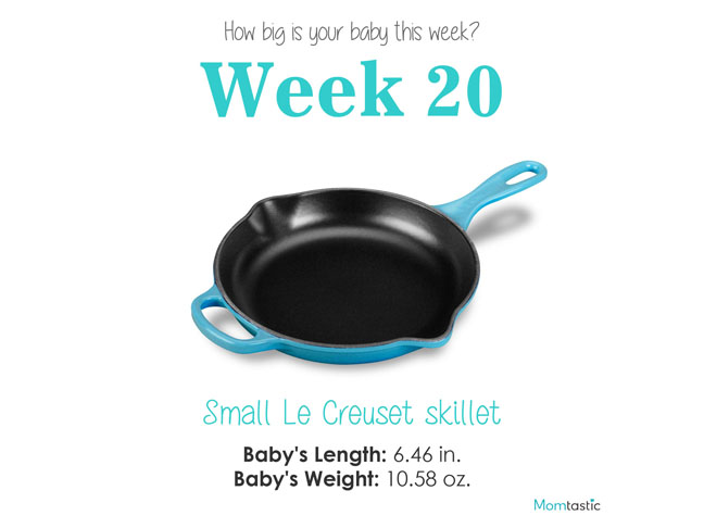 Week 20