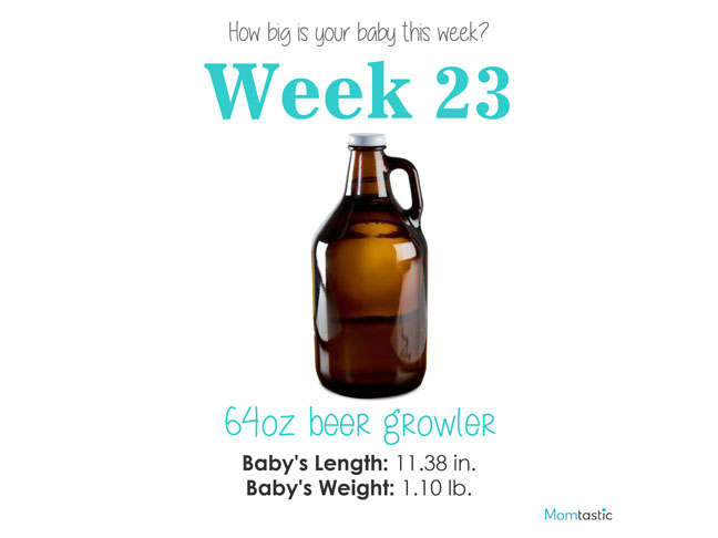 Week 23