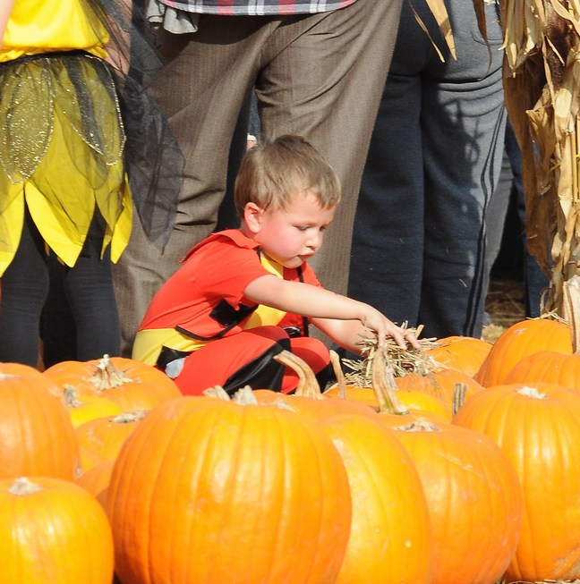 Mark Wahlberg's son Michael, pumpkin patch